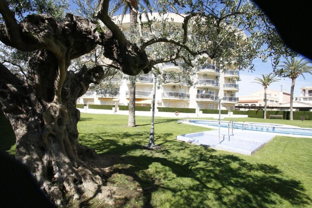 Apartamento Family Miami Playa Eksteriør billede